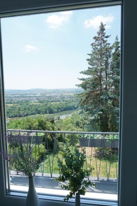 Ferienhaus Mit Schoener Aussicht Weitersburg Kültér fotó